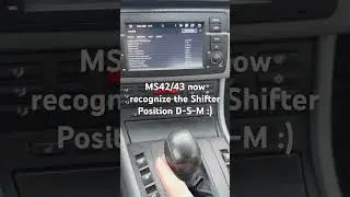 MS42/MS43 now support D-S-M based map switching :)                              Exhaust Flap mod