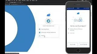 Passwordless Login - Live demo from IDM Europe