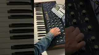 Korg Mono/Poly &bdquo;secret&rdquo; key assign mode - idea 1 #korgmonopoly