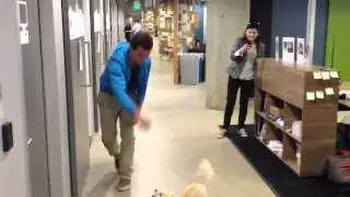 Otis break