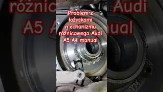 Łożyska mechanizmu r&oacute;żnicowego Audi w skrzyni manualnej, luz, zużycie i naprawa.