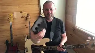 Home Bass Sessions Episode #2. Fender, Sadowsky, Neve.