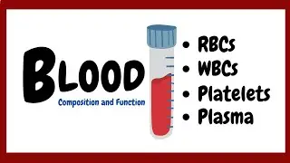 What is Blood? | Understanding RBCs, WBCs, Platelets, and Plasma | Composition and Function of Blood