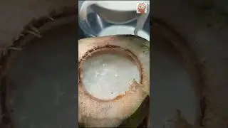 Cooking without fire tender coconut payasam #shorts #elaneerpayasam #tendercoconut #payasam