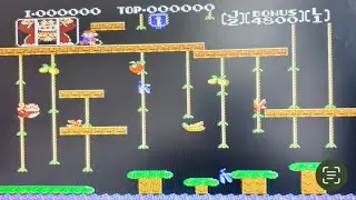 Donkey Kong JR
