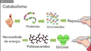Metabolismo: Anabolismo e Catabolismo