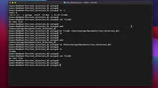 Mac OS Terminal - mv