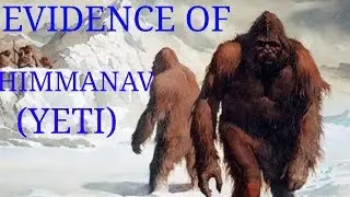 Evidence of himmanav (Yeti).