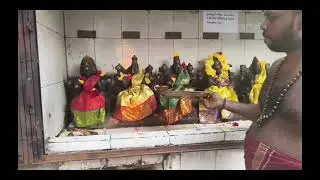 Pudhan bhagavan komatha cow poojai 14 01 2026 founder a n subramanisivagamiadhiparasakthitrust
