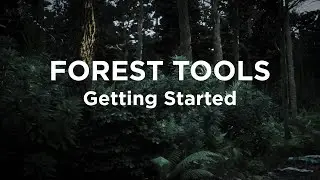 01 Forest Tools - Introduction and getting started!