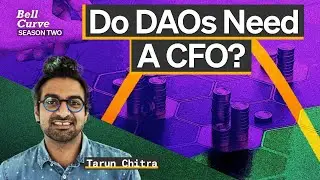 DAO Treasury Management | Tarun Chitra