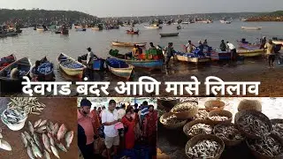 देवगड बंदर आणि मासे लिलाव Devgad Bandar (Port) Fish Auction #devgadbandar #fishauction #devgadport