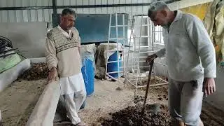 प्राकृतिक थेपड़ी(उपले) बनाने का जुगाड़ जनूनी मास्टर कृष्ण सिहाग 7/1/2025 
