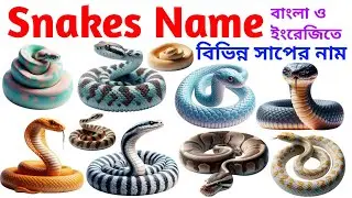 Snake Names for Kids | Learn 20 Types of Snakes in English | Preschool & Toddler Learning Video