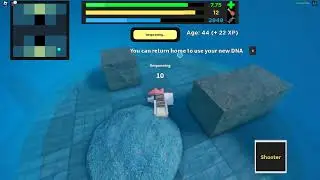 Roblox Evolve custom species gameplay: Shrimp.