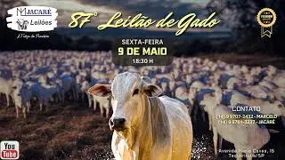 87° LEILÃO DE GADO - 09/05/2025 - ML JACARÉ LEILÕES - TAQUARITUBA/SP #agro #aovivo #pecuaria