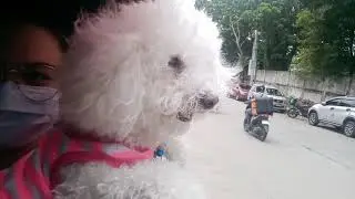 FIRST TIME IN MANILA! 🐶