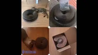Magic Cat Scratch Organ Board Cat Toy with Ball Cat Grinding#zarkshine#foryou#tiktok #cats #cat