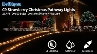 Magical Christmas Pathway in Minutes  C9 Strawberry Light Installation Guide