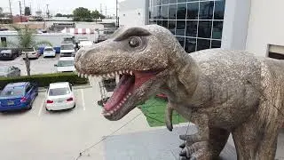 Giant Inflatable T-Rex