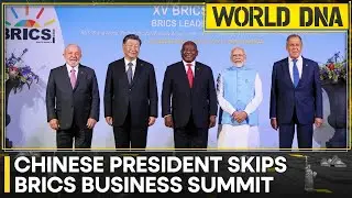 Russian President Putin at BRICS 2023: BRICS work for global majority | World DNA