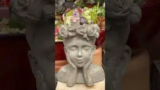 Styling with the Dreamer Girl Planter: Adding Elegance with a Colorful Rosette Succulent Crown! 👑💐🌸🌼