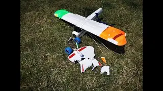 MFNZ Streamer Chase