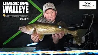 LIVE SCOPE EARLY ICE WALLEYE ! - First ice MegaLive 2 Walleyes !
