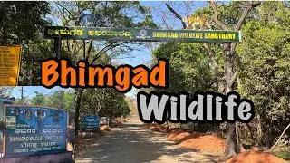Bhimgad wildlife | भीमगड़ वन्यधाम