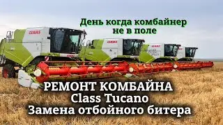 Обзор комбайна Claas Tucano | Что делают комбайнеры когда не в поле? | Замена битера | Комбайнеры 