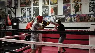 Hempstead Boxing Gym Gloucester - Steve Vincent