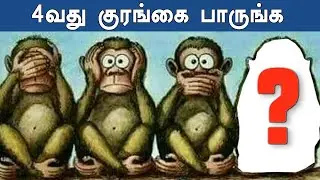 இனி 3 குரங்கு கிடையாது மக்களே! 4 குரங்கு | Three wise Monkeys | Oneindia Tamil