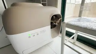 Petsnowy Self-Cleaning Litter Box Review and Tutorial
