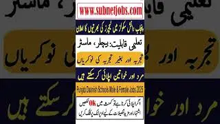 Punjab Danish School Jobs 2025 | Latest Teaching Vacancies 2025 | New Jobs in Pakistan Today 2025