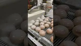 Behind the scenes making FRESH JELLY FILLED DONUTS #donuts #lasvegas #foodchallenge
