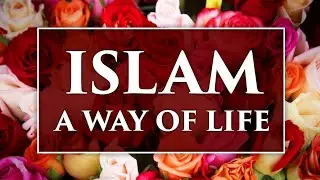 🌙 &ldquo;Halal Morning & Night Routine | A Peaceful Day in the Life of a Practicing Muslim&rdquo;
