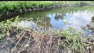 &ldquo;UNCLOGGING CULVERT DRAINAGE DITCH BY REMOVING BEAVER DAM&rdquo;