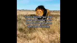 #frasesdelavida #refleciones #t&uacute;puedes #refleciones #inspiraci&oacute;n #motivation #fyp #sad #viral
