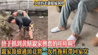 【小唐的老撾媳婦阿珍】終於抓到黃鱔親家興奮的哇哇叫！親家節儉過頭竟將一次性拖鞋帶回家穿