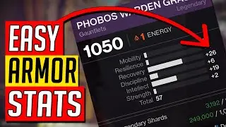 PERFECT Stats on ARMOR for Beyond Light