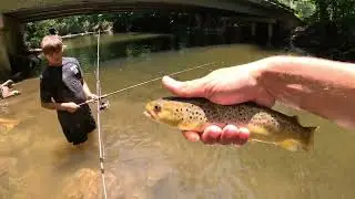 Davidson River Trout Fishing