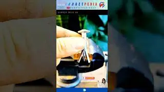 Hammer Drive Nail in Concrete Anchors #shorts #youtubeshorts #ytshorts #nails #tools