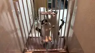早く早く｜ひとりじゃないよ(^o^)