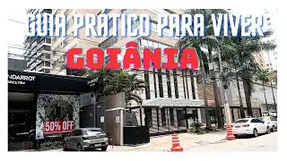 MANUAL DE SOBREVIVÊNCIA EM GOIÂNIA: Como entender e viver bem