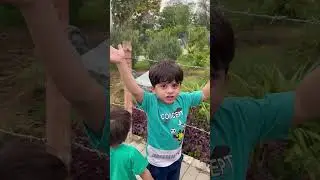 Yusuf and his excitement for dinosaurs.😝 #kids #mybaby #babyboy #yusuf #fun #viralvideo #love
