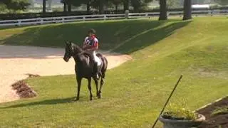 Real horsemanship