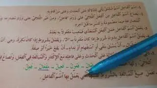 تطبيقات صفحه 22درس اسم الفاعل وعمله وصيغ المبالغة الثالثة إعدادي كتاب المختار في اللغة العربية