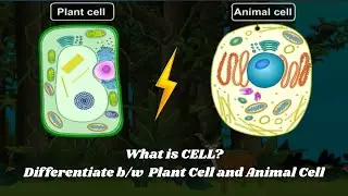 What is CELL? Differentiate b/w Plant Cell and Animal Cell || #plantcell #animalcell #biology #icse