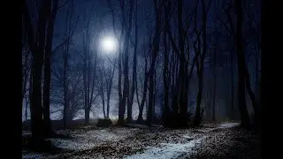 O Holy Night - Johnny Coppin (Official Video)