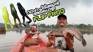 വാഹയുടെ അന്ധകൻ...Flip frog പൊളി സാധനം#flipfrogfishing#vahapidutham#snakeheadfishing#snakehead 🐬🐬